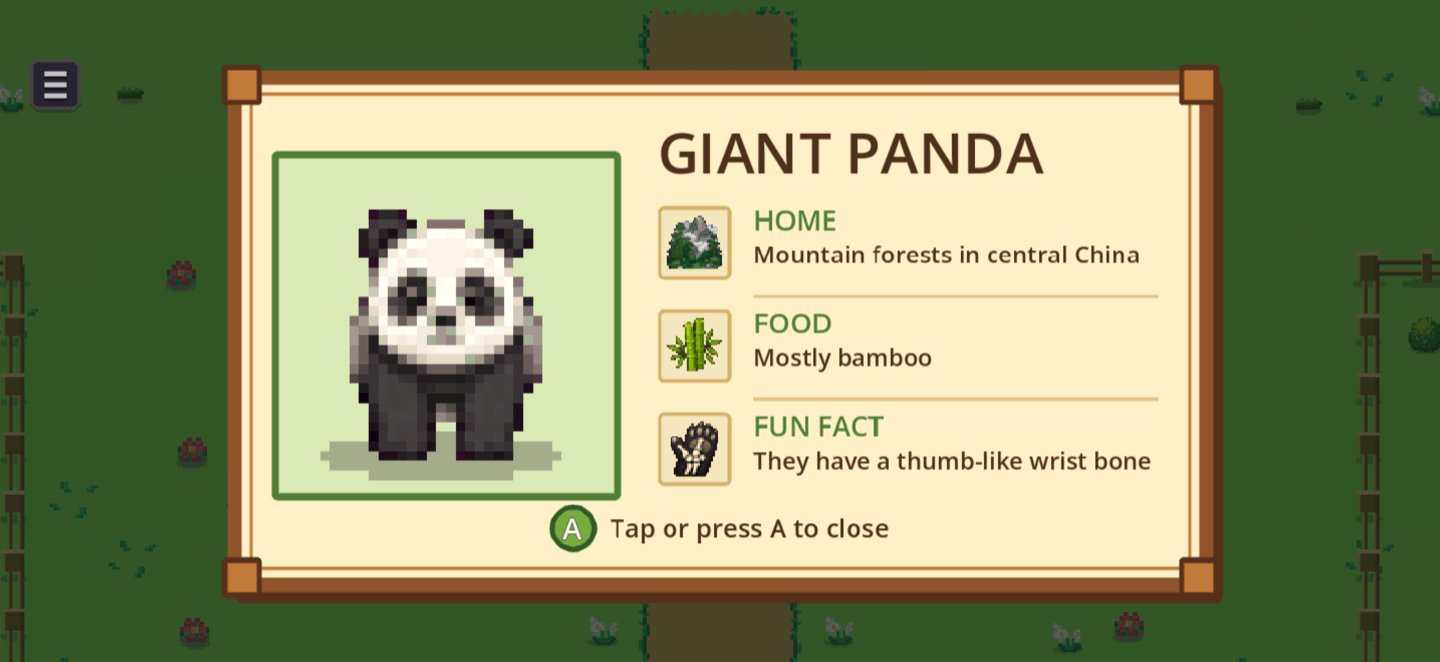 ZooFriends giant-panda fact card with playful illustrated details.